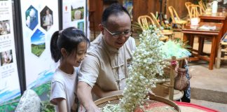 Cina: a Fuzhou il tè al gelsomino unisce tradizione, innovazione e turismo (1)
