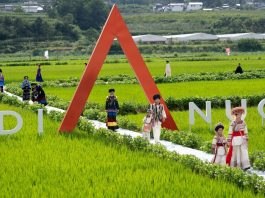 Cina: Sichuan, sfilata con costumi etnici tradizionali tra le risaie (1)