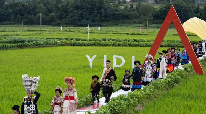 Cina: Sichuan, sfilata con costumi etnici tradizionali tra le risaie (2)