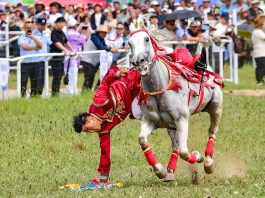 Cina: al via la fiera Nadam nella Mongolia Interna (3)