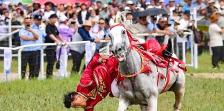 Cina: al via la fiera Nadam nella Mongolia Interna (3)