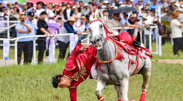 Cina: al via la fiera Nadam nella Mongolia Interna (3)