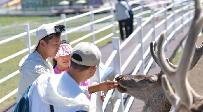 Cina: monti Qilian, allevamento di cervi nobili stimola l’ecoturismo (3)