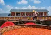 Cina: preparazione della salsa al peperoncino nell’Hunan (2)