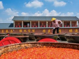Cina: preparazione della salsa al peperoncino nell’Hunan (2)