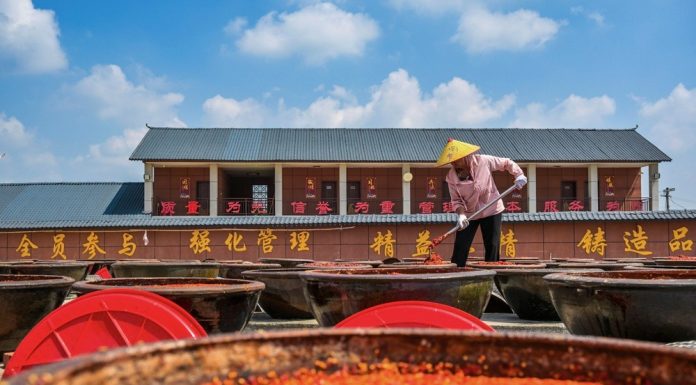 Cina: preparazione della salsa al peperoncino nell’Hunan (2)