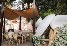 Cina: a Fuzhou il tè al gelsomino unisce tradizione, innovazione e turismo (3)