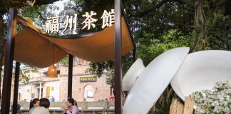 Cina: a Fuzhou il tè al gelsomino unisce tradizione, innovazione e turismo (3)