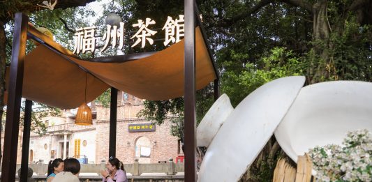 Cina: a Fuzhou il tè al gelsomino unisce tradizione, innovazione e turismo (3)