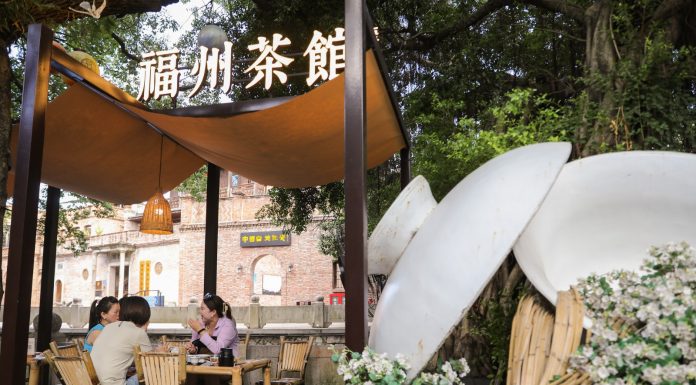 Cina: a Fuzhou il tè al gelsomino unisce tradizione, innovazione e turismo (3)