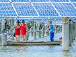 Cina: Jiangsu supera i 100 GW di capacità fotovoltaica installata (2)