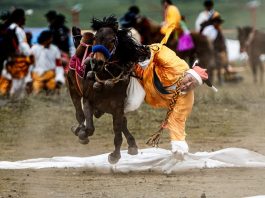 Cina: acrobazie a cavallo nella contea di Litang (1)