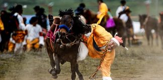 Cina: acrobazie a cavallo nella contea di Litang (1)