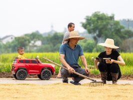 Cina: Hunan, tecnica agricola al servizio della rivitalizzazione rurale (1)