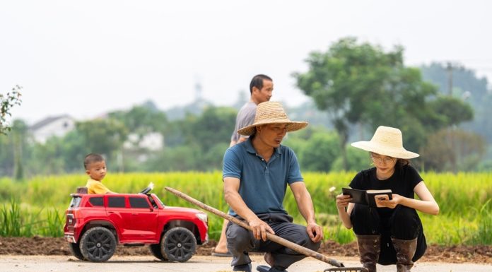 Cina: Hunan, tecnica agricola al servizio della rivitalizzazione rurale (1)