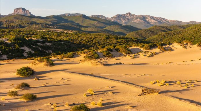 DEFR 2027–2029, assessora Laconi: “Proteggere l’ambiente significa custodire il futuro della Sardegna”