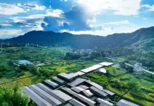 La Cina promuove lo sviluppo di reti elettriche di nuova generazione