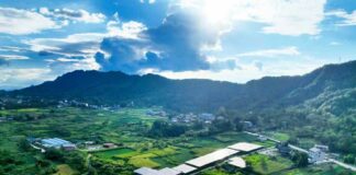 La Cina promuove lo sviluppo di reti elettriche di nuova generazione