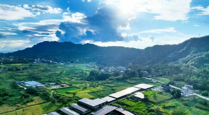 La Cina promuove lo sviluppo di reti elettriche di nuova generazione