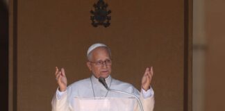 Ucraina, Papa “Auspico che sforzi per negoziati portino frutti concreti”