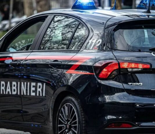 Uccide la sorella e si toglie la vita nel torinese