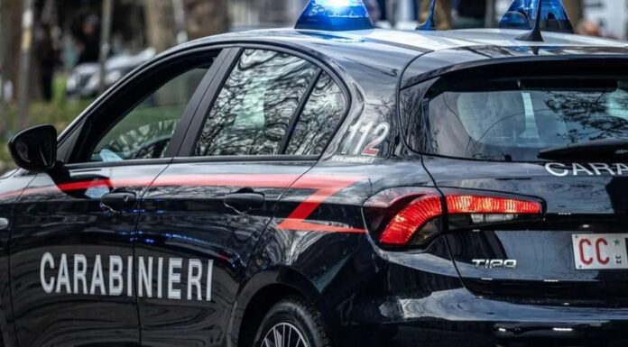 Uccide la sorella e si toglie la vita nel torinese