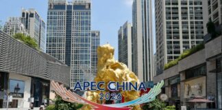 Asia-Pacifico, a novembre a Shenzen il Vertice CEO della Cooperazione economica