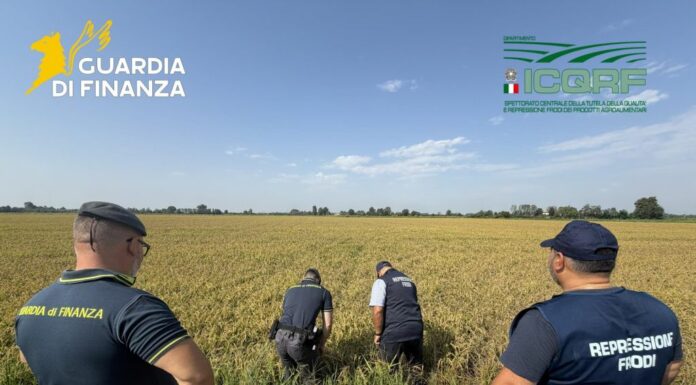 Pavia, maxi frode su riso biologico. Profitti illeciti per 10 milioni dl euro