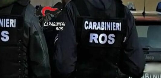 Droga dal Brasile all’Italia, blitz contro la mafia e il narcotraffico