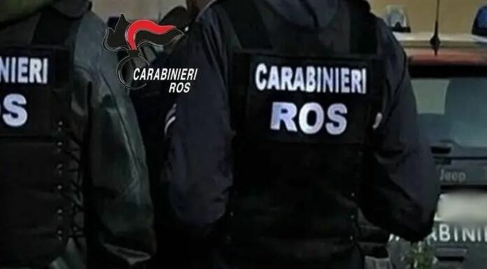 Droga dal Brasile all’Italia, blitz contro la mafia e il narcotraffico
