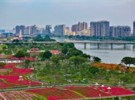 Cina, cambiano la domanda e l’offerta nel mercato immobiliare