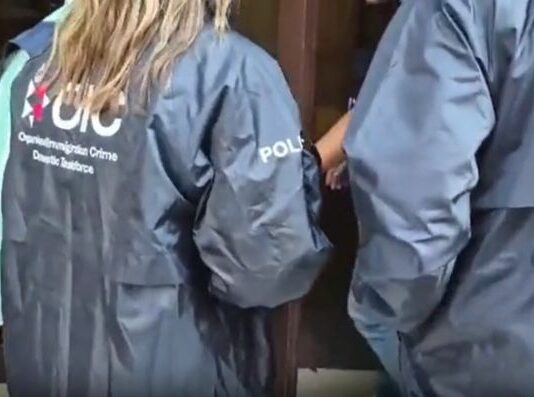 Blitz in 4 Paesi europei contro l’immigrazione irregolare, arresti e perquisizioni