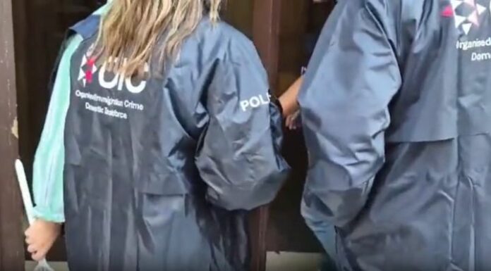 Blitz in 4 Paesi europei contro l’immigrazione irregolare, arresti e perquisizioni