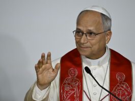 Papa Leone XIV “Stupito dal numero di persone che si riaffacciano alla fede”