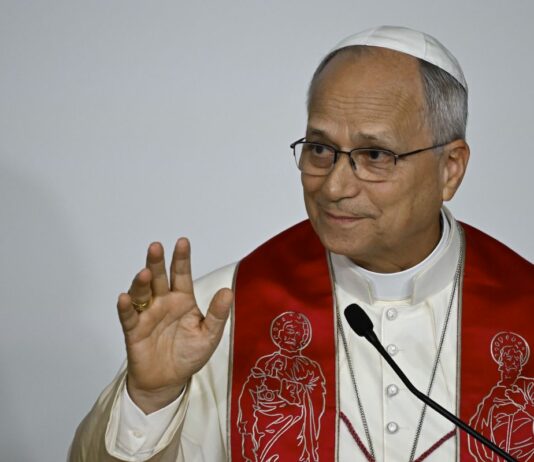 Papa Leone XIV “Stupito dal numero di persone che si riaffacciano alla fede”