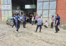 Lavoro in nero nel settore agricolo, scoperti 4 irregolari nel Bolognese