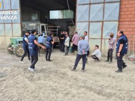 Lavoro in nero nel settore agricolo, scoperti 4 irregolari nel Bolognese