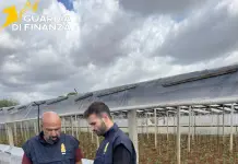 Lavoro in nero nei campi del Trapanese, scoperti 19 irregolari in tre aziende agricole