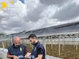 Lavoro in nero nei campi del Trapanese, scoperti 19 irregolari in tre aziende agricole
