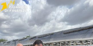 Lavoro in nero nei campi del Trapanese, scoperti 19 irregolari in tre aziende agricole