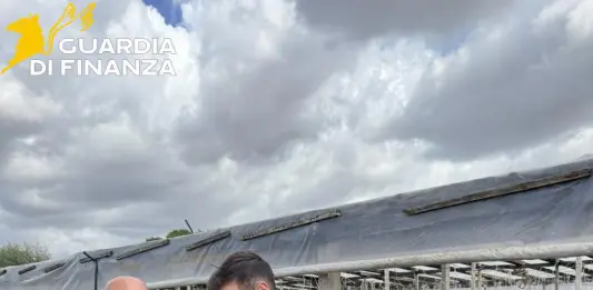 Lavoro in nero nei campi del Trapanese, scoperti 19 irregolari in tre aziende agricole