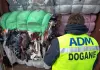 Maxi sequestro di 500 tonnellate di rifiuti tessili al porto di Livorno