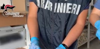 Controlli antidroga sul lungomare nel Lametino, pusher 42enne in manette