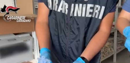 Controlli antidroga sul lungomare nel Lametino, pusher 42enne in manette