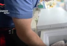 Insetti e vermi nel cibo per bambini in strutture socio-assistenziali di Caivano, una denuncia