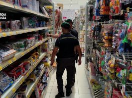 Sequestrati in provincia di Vibo Valentia 4.335 giocattoli e prodotti per la casa irregolari