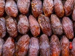 Tunisia, esportazioni agroalimentari verso la Russia in aumento del 57% nei primi sette mesi del 2026