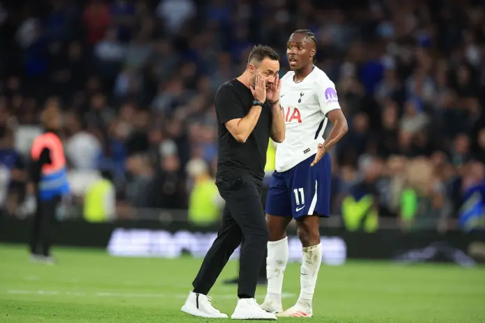 Calcio - Premier League - Tottenham Hotspur vs Everton