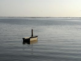 Inaugurato a Porto Viro l’impianto cofinanziato da Regione Veneto per intercettare i rifiuti fluviali nel Delta del Po