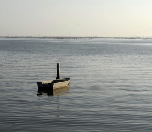 Inaugurato a Porto Viro l’impianto cofinanziato da Regione Veneto per intercettare i rifiuti fluviali nel Delta del Po